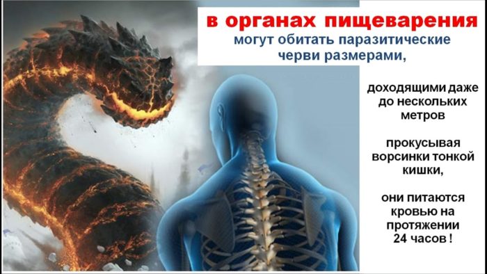 давать детям от глистов народными средствами давать детям от глистов народными средствами