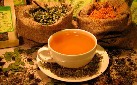Изучаем состав антипаразитарного чая и делаем его сами в домашних условиях